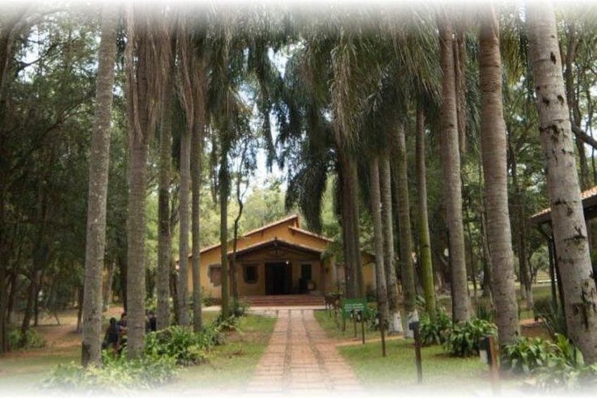 A wooden cabin surrounded by tall trees and a paved path leading to it. 2