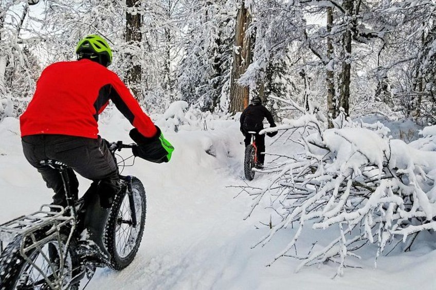 Two people on bicycles in a snowy forest. 3