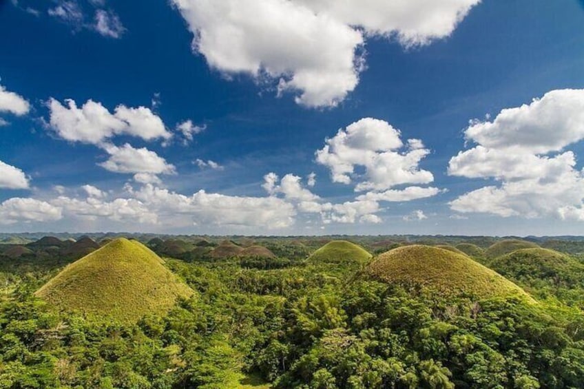 Chocolate Hills 1