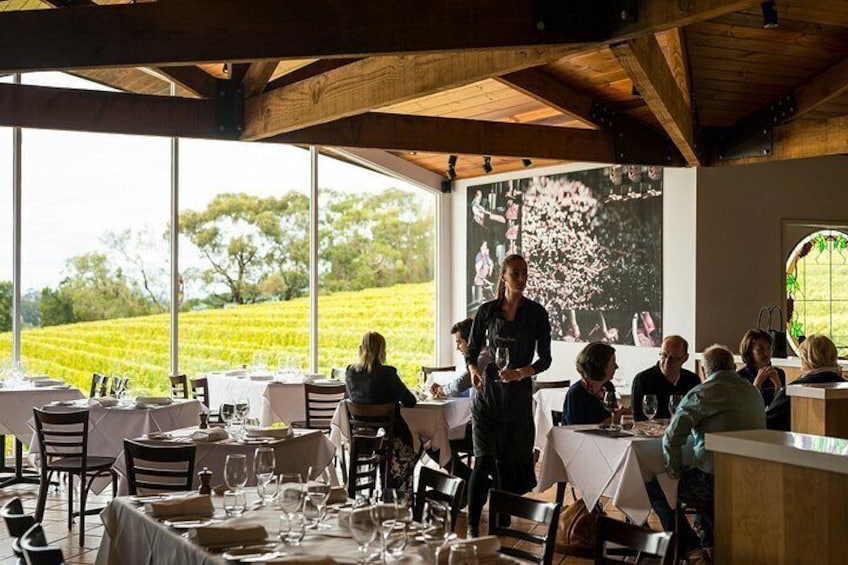 From Melbourne: Hop On Hop Off Mornington Peninsula 2