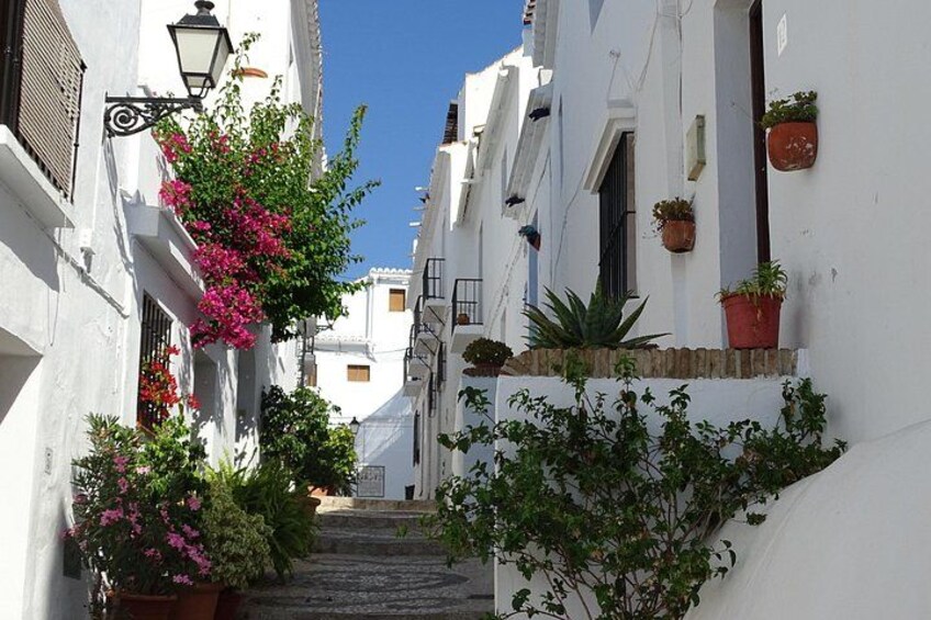 Guided Walking Tour of the Old Town of Frigiliana 1