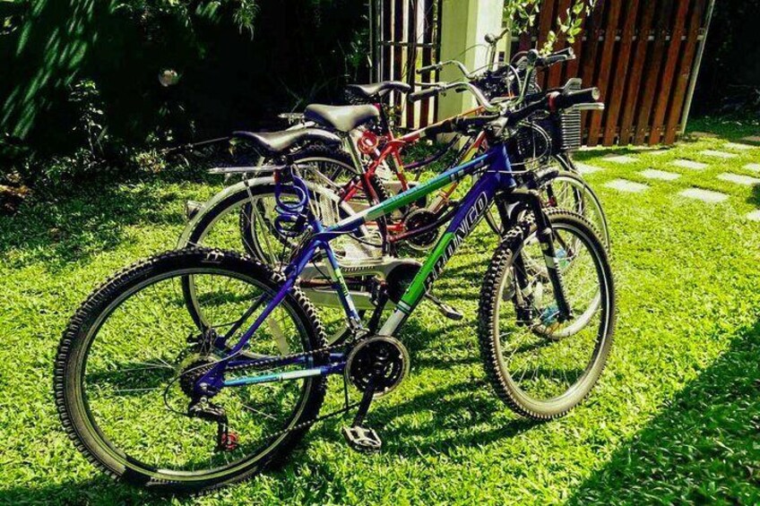 Una bicicleta de montaña morada aparcada en un césped, con otras bicicletas al fondo. 3