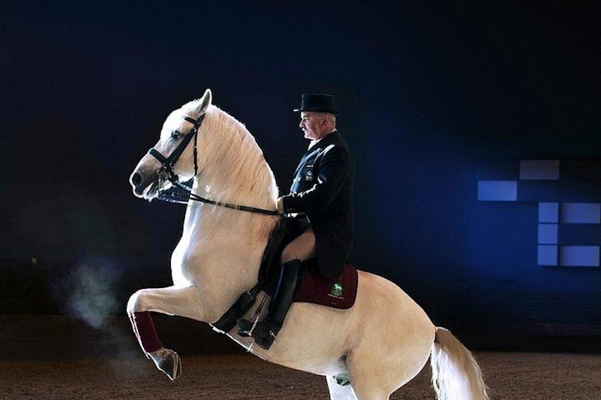 Eine Person reitet auf einem weißen Pferd in einer dunklen, überdachten Reithalle. 1