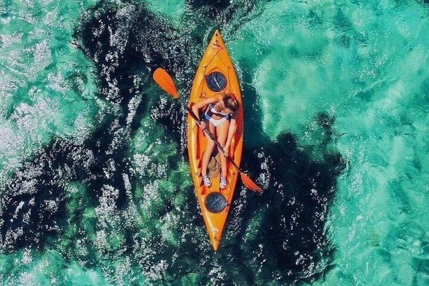 Kayak tour with aperitif and dolphins 2