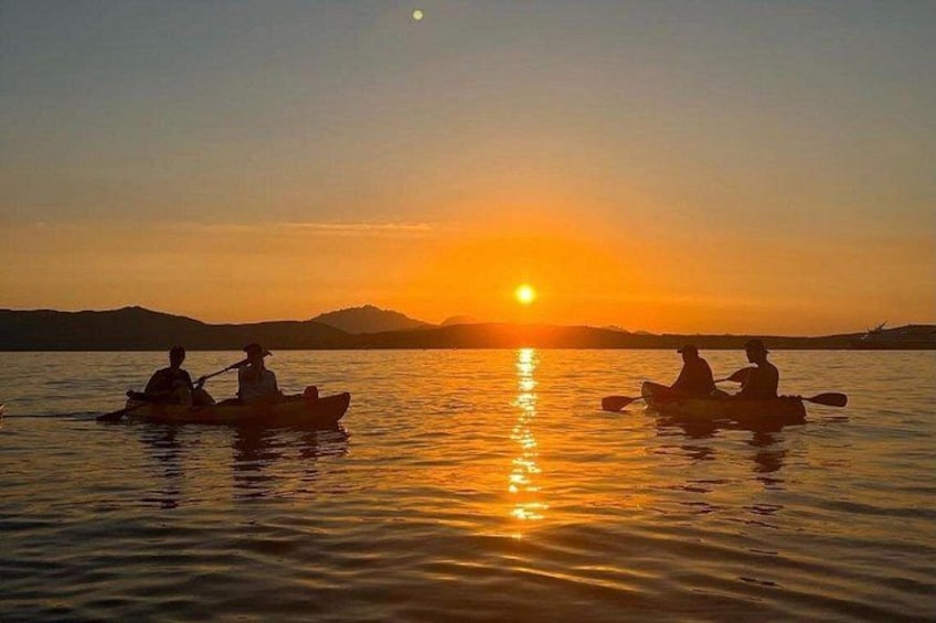 Kayak tour with aperitif and dolphins 2