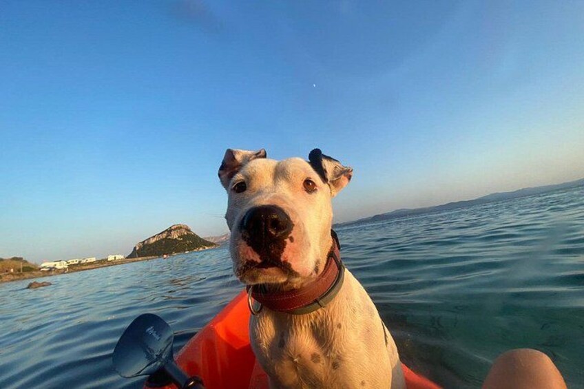 Kayak tour with aperitif and dolphins 3