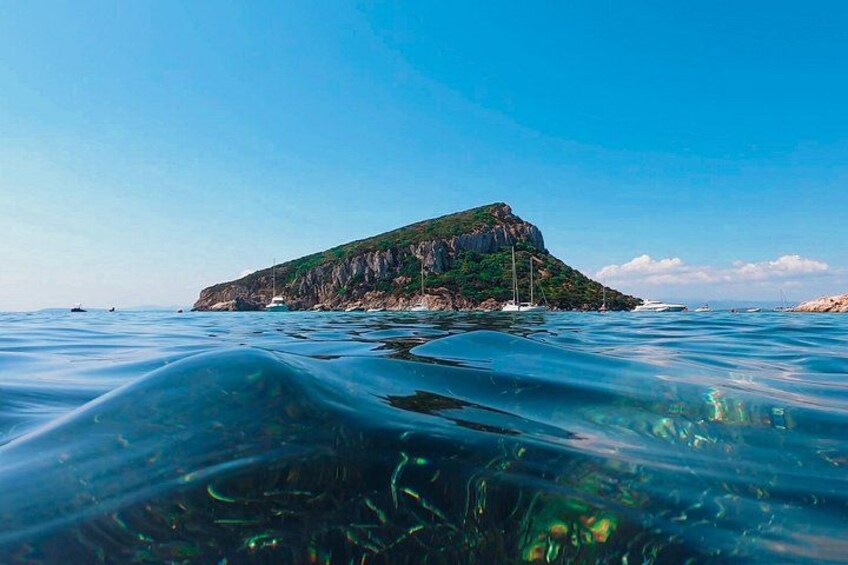 Kayak tour with aperitif and dolphins 3