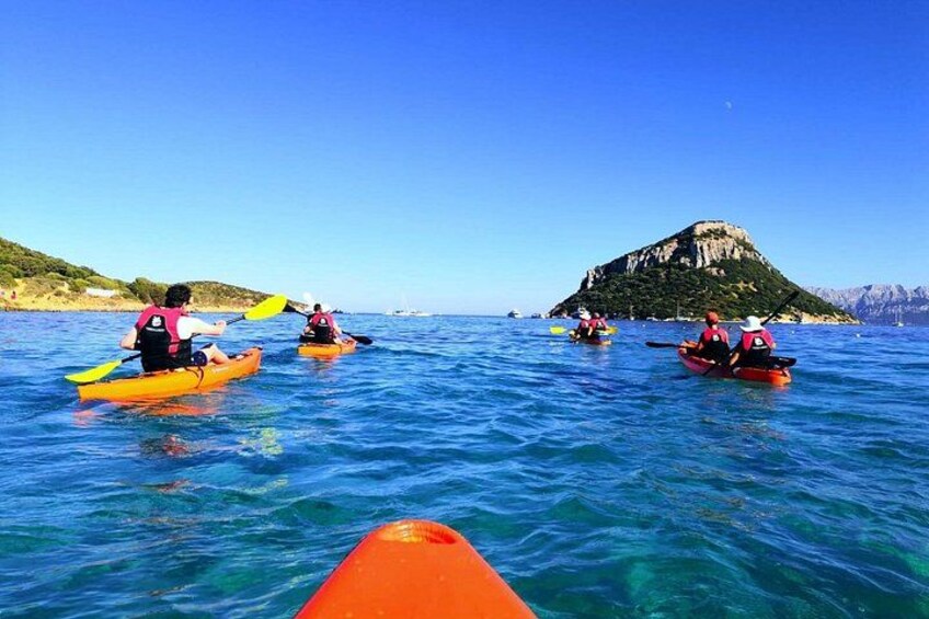 Kayak tour with aperitif and dolphins 3