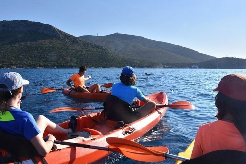 Kayak tour with aperitif and dolphins 2