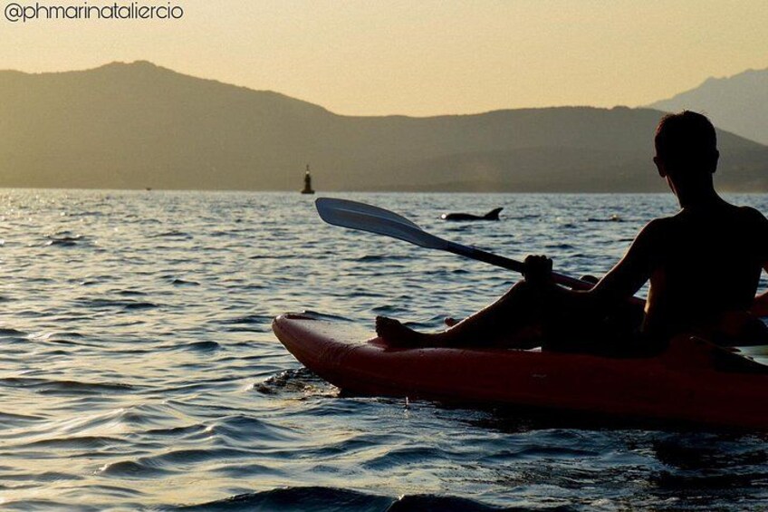 Kayak tour with aperitif and dolphins 4
