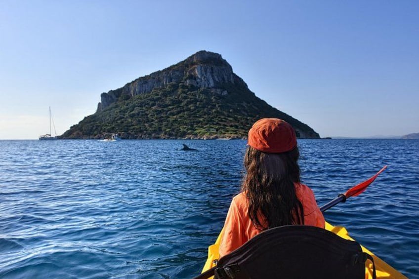 Kayak tour with aperitif and dolphins 3