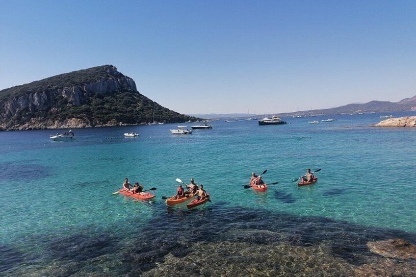 Kayak tour with aperitif and dolphins 3