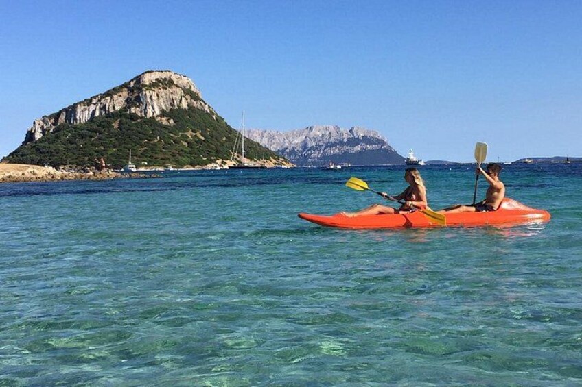 Kayak tour with aperitif and dolphins 2