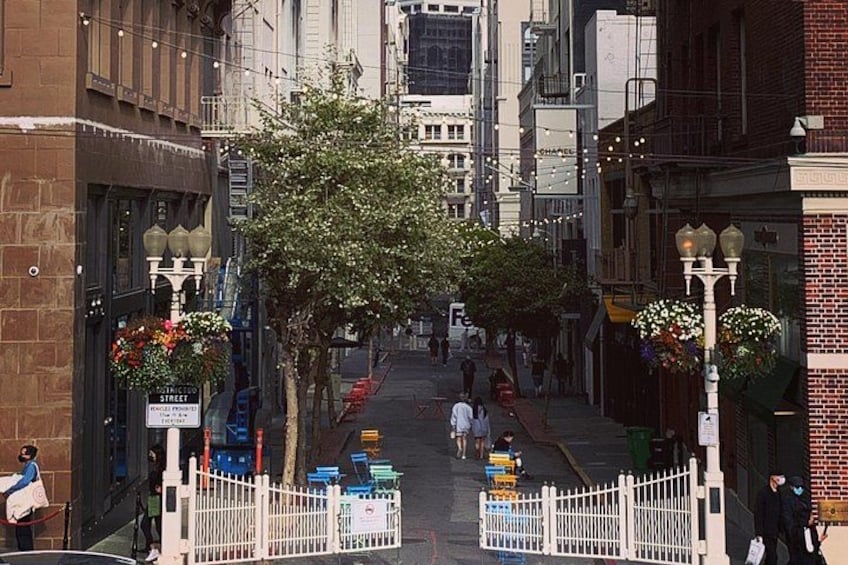 A street with buildings, a tree, and a white fence. 3