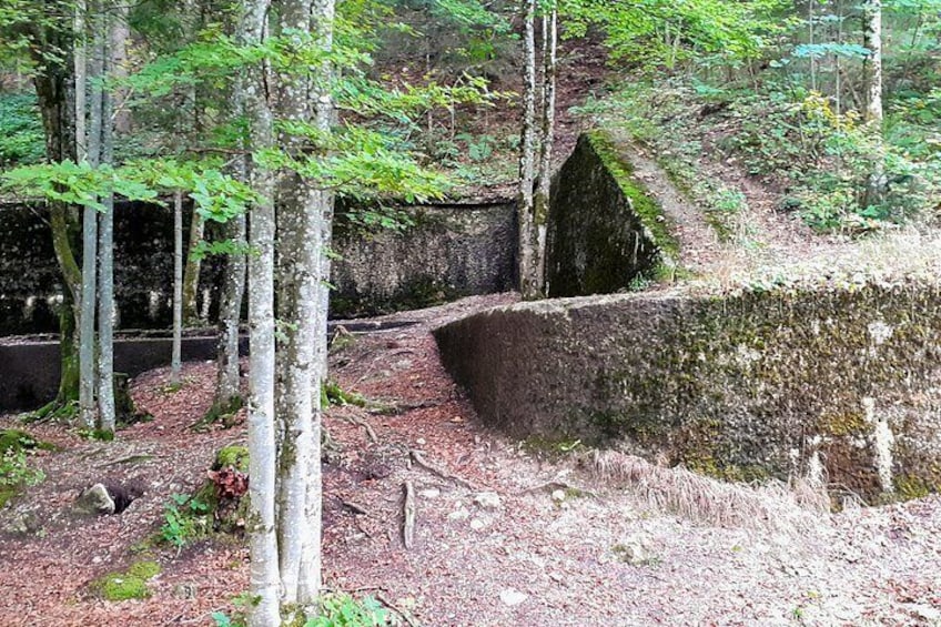 Un área boscosa con una construcción de piedra, un sendero de tierra y una gran roca cubierta de musgo. 3