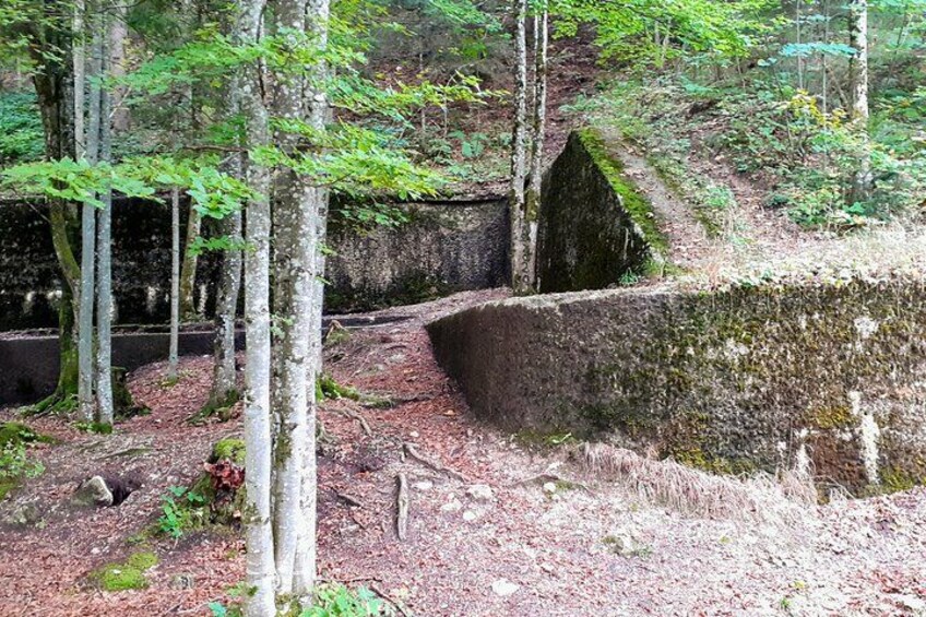 Eagle's Nest, Lake Königssee and 'Fuehrer Headquarters' Private Tour from Munich 3