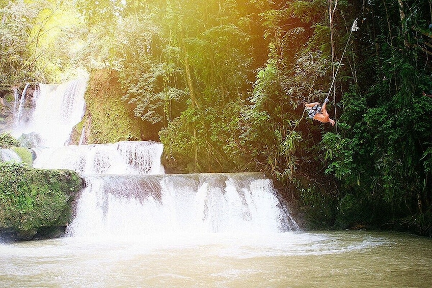 YS Falls & Appleton Estate Adventure with Lunch