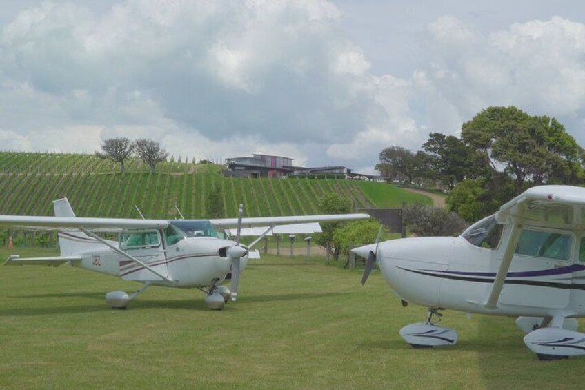 Waiheke Island - Fly and Dine (from Ardmore Airport)