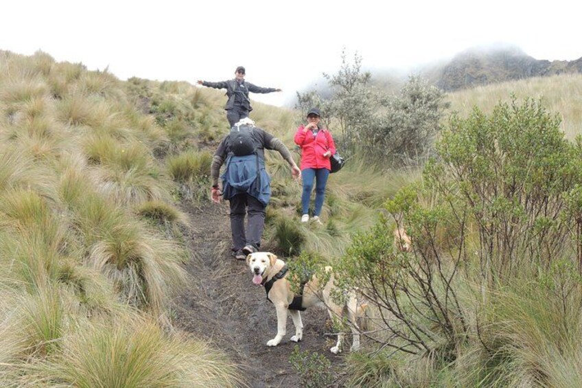Fuya Fuya Hike and Otavalo Market Day Trip 4