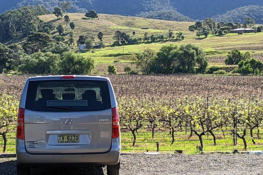 A silver minivan parked in a vineyard with rows of grapevines. 3