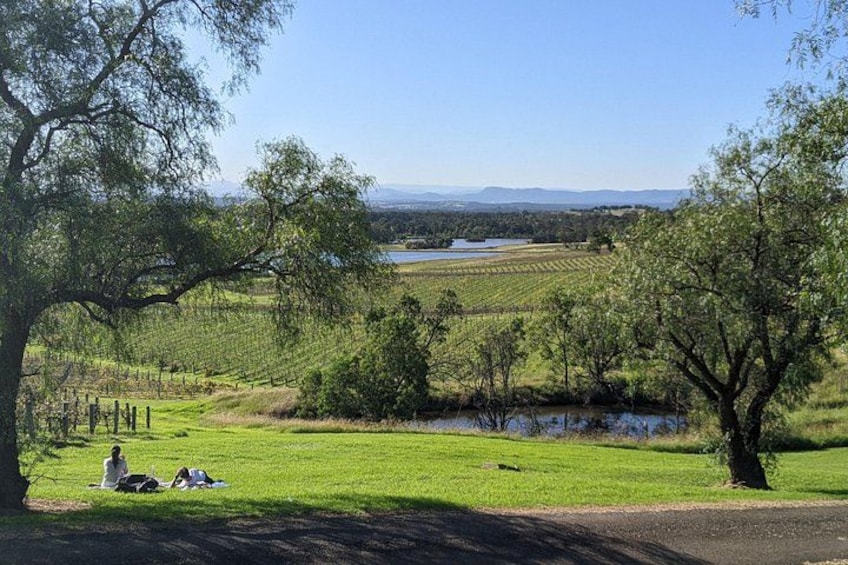 A grassy field with a small pond, trees, and a distant body of water. 4