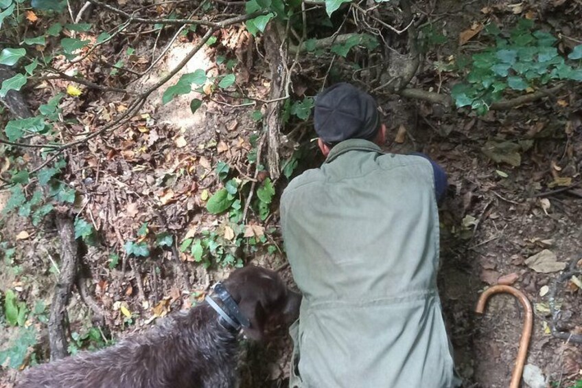 Langhe Truffle hunting Experience 4