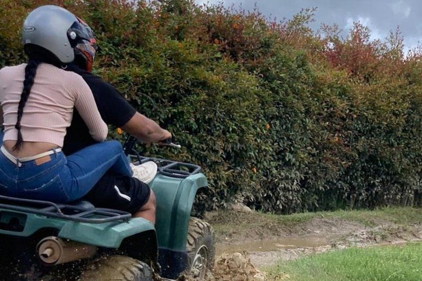 A person riding an ATV on a dirt path with dense shrubbery in the background. 2