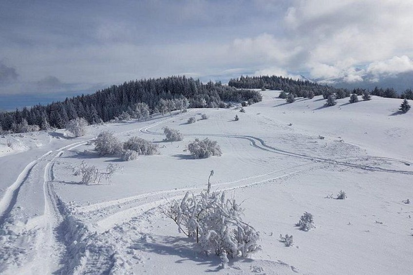 Ett snötäckt landskap med en slingrande väg, snöbelagda träd och en skog i bakgrunden. 3