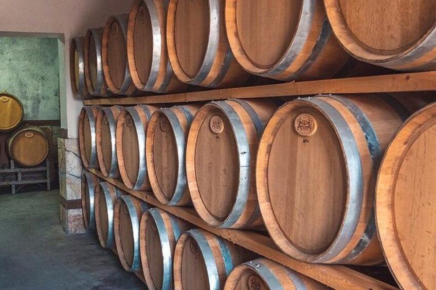 Villa Sintica Wine Tasting Tours & Activities 4