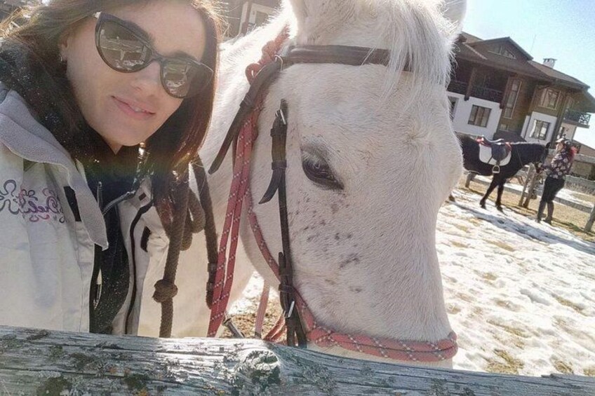 Een persoon met een paard in een besneeuwde omgeving. 2