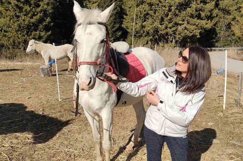 Een persoon die met een witte paard samen is in een open landschap met bomen en een hek. 5