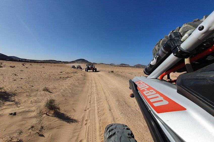 3 Hour Guided Buggy Tour Around the Island of Lanzarote 5