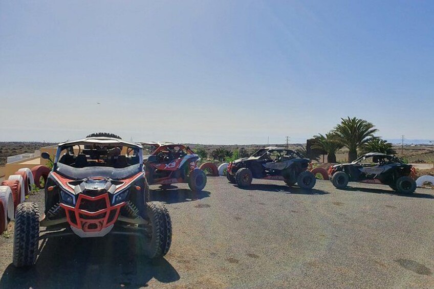 3 Hour Guided Buggy Tour Around the Island of Lanzarote 3