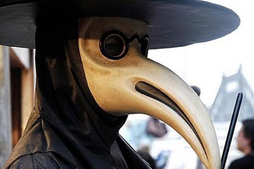 A person wearing a bird-like mask with a long beak and a wide-brimmed hat. 4