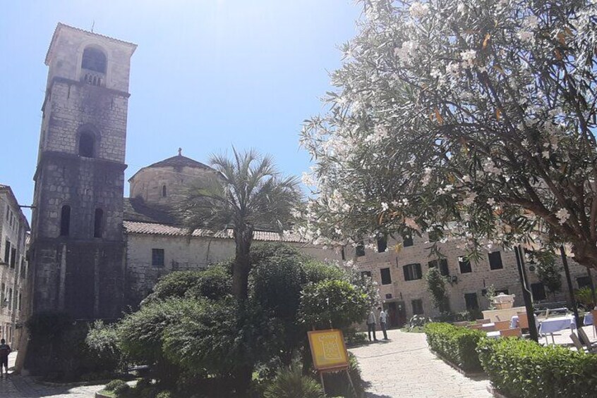 Montenegro Tour From Perast to Kotor and Budva with Boat ride 5