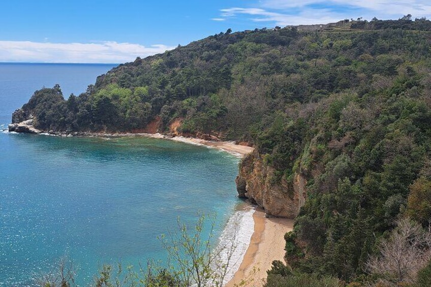 A coastal landscape with a sandy beach, clear blue waters, and dense green vegetation on a hillside. 4