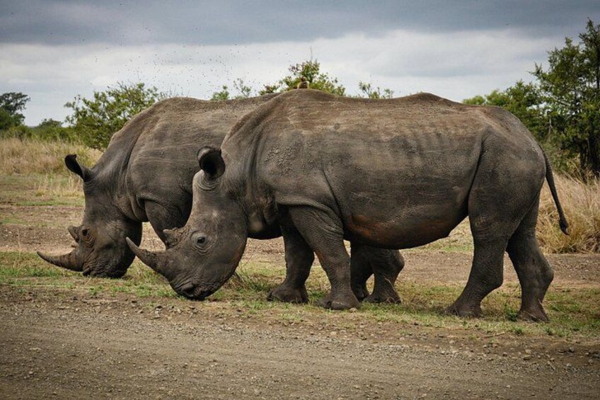 Private Tour : Ceres, Breede River Valley, Big Sky and Big 5 with Wine 4