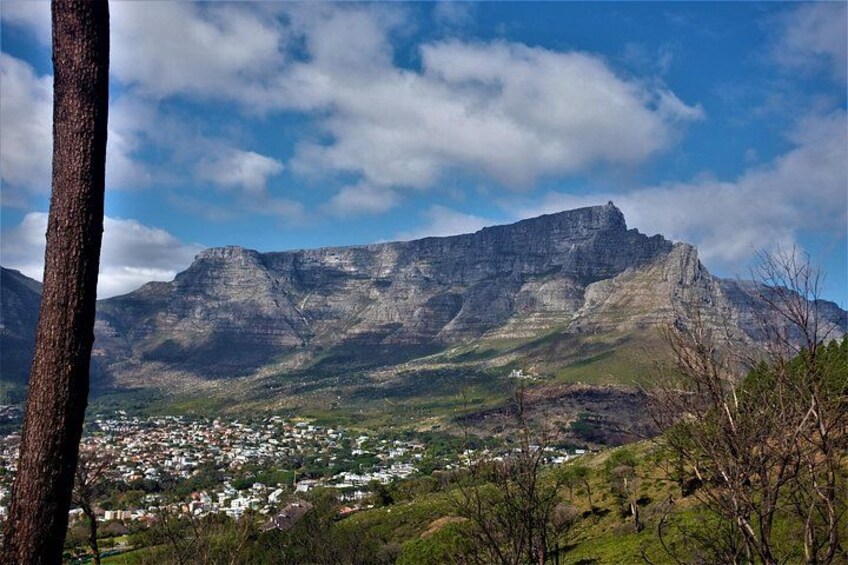 Private Tour : Ceres, Breede River Valley, Big Sky and Big 5 with Wine 2