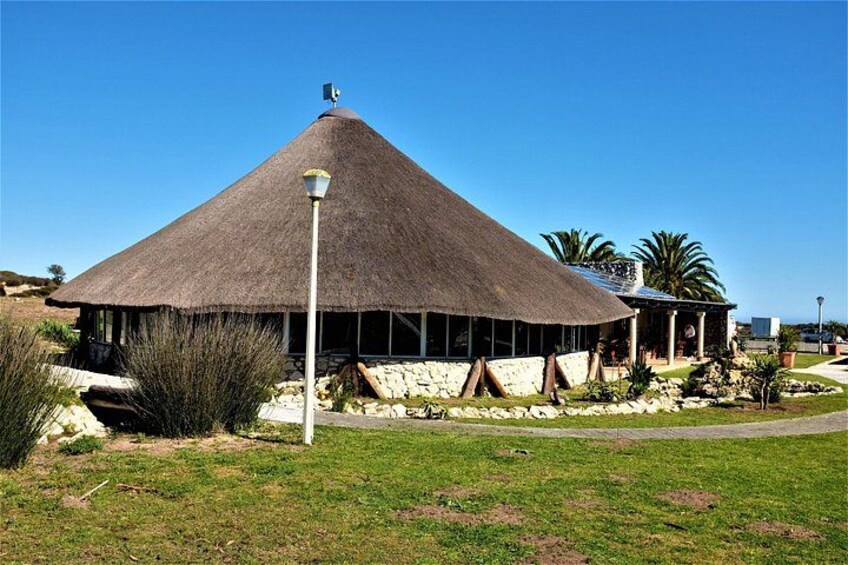 Private Tour : Africa Wild Safari West Coast Cape Town 4