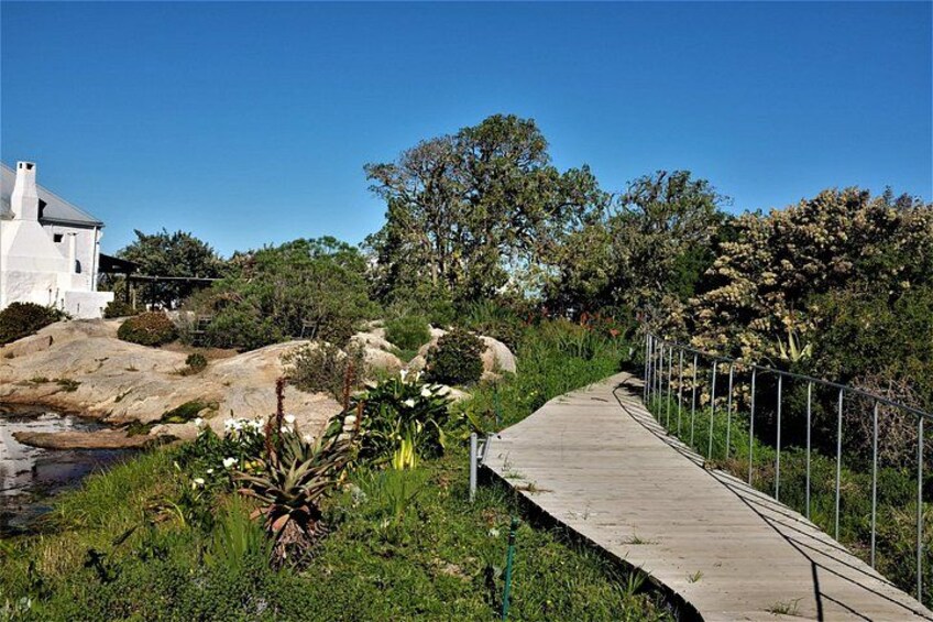 Private Tour : Africa Wild Safari West Coast Cape Town 5