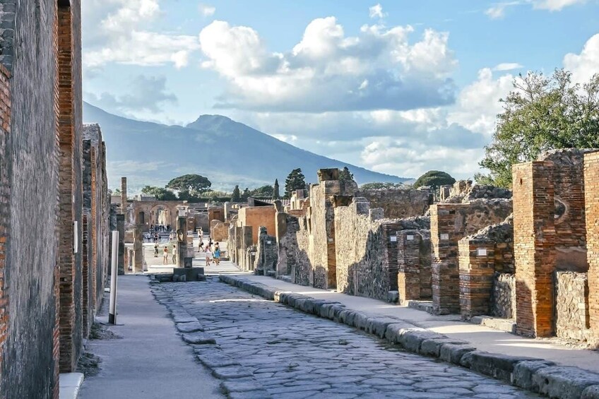 Skip The Line Trip to Pompeii by Train from Sorrento