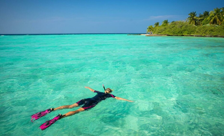 Cozumel Plus Tour Snorkel