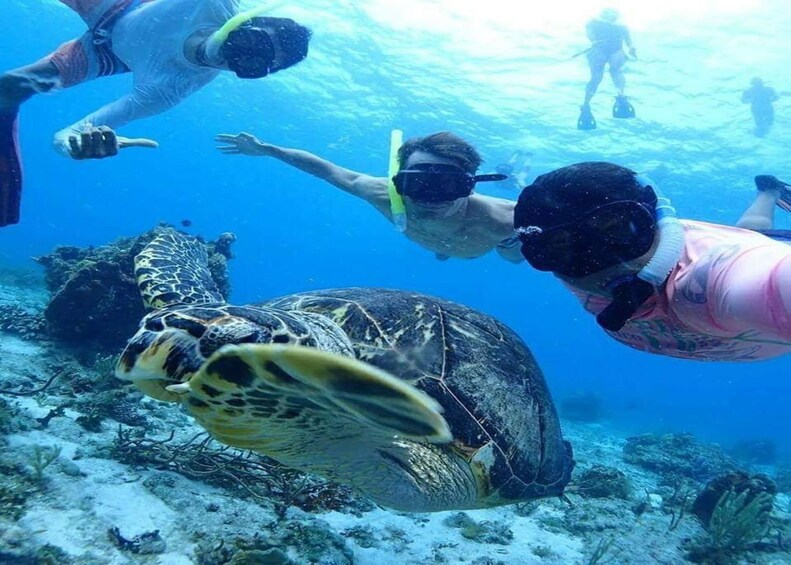 Full day Snorkel Cozumel Reef Tour & Boat Ride 