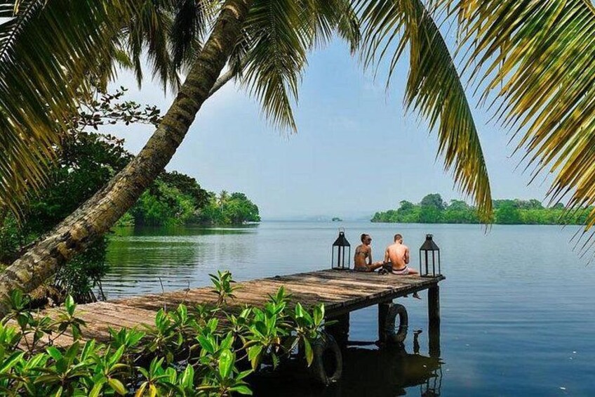 A wooden dock extending into calm water, surrounded by lush greenery and palm trees. 1