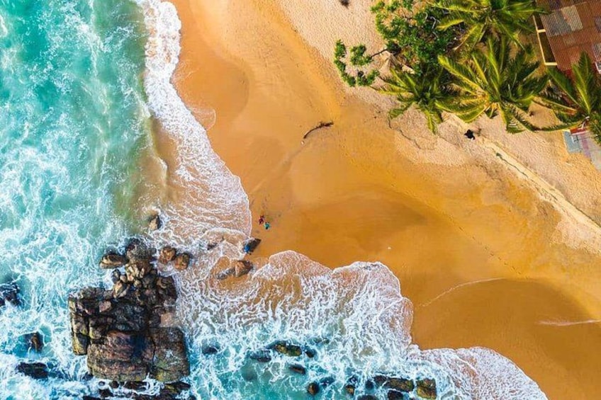 Une plage avec des vagues, un palmier et un promontoire rocheux. 3