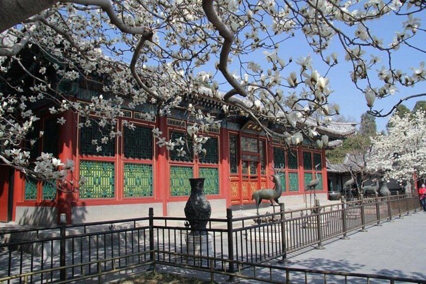 Summer Palace 3