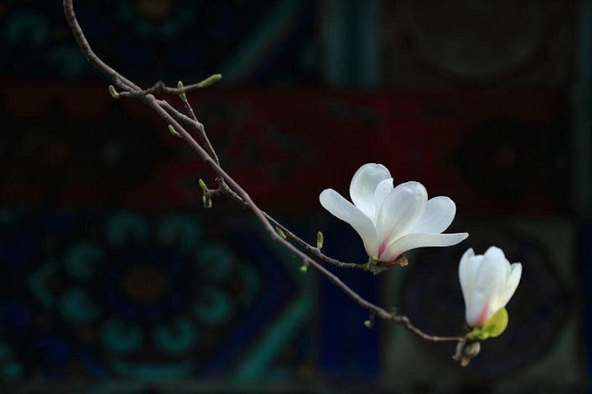 Temple of Heaven or Summer Palace Admission Ticket 4
