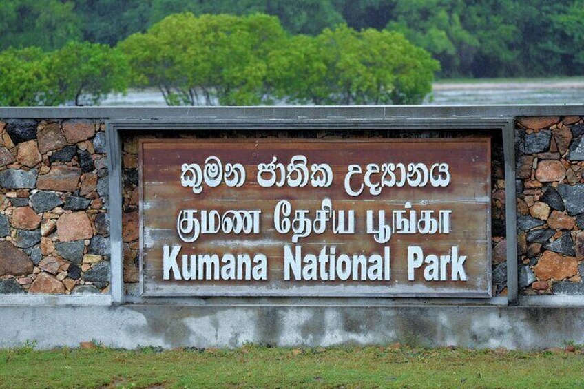 kumana_national_park