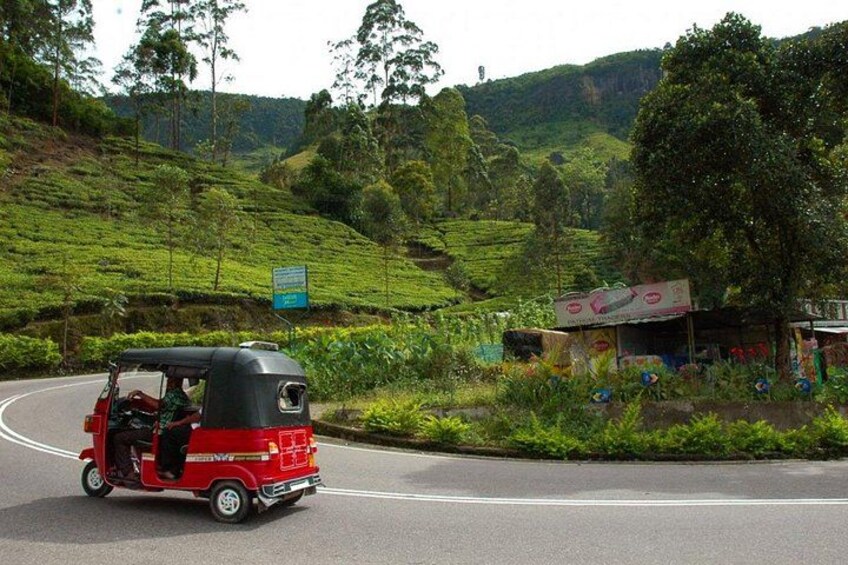 En rød tuk-tuk på en bugtende vej med frodige, grønne bakker i baggrunden. 2