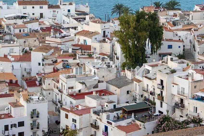 Ibiza old town Private Walking Tour with a Professional Guide 2